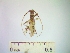  ( - IAvH-TRI-ALH-G859)  @11 [ ] Copyright (2022) Instituto de Investigaciones Alexander von Humboldt (IAvH) Instituto de Investigaciones Alexander von Humboldt (IAvH)