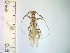 ( - IAvH-TRI-ALH-G860)  @11 [ ] Copyright (2022) Instituto de Investigaciones Alexander von Humboldt (IAvH) Instituto de Investigaciones Alexander von Humboldt (IAvH)