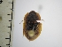  ( - IAvH-TRI-ALH-G938)  @11 [ ] Copyright (2022) Instituto de Investigaciones Alexander von Humboldt (IAvH) Instituto de Investigaciones Alexander von Humboldt (IAvH)