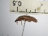  ( - IAvH-TRI-ALH-G938)  @11 [ ] Copyright (2022) Instituto de Investigaciones Alexander von Humboldt (IAvH) Instituto de Investigaciones Alexander von Humboldt (IAvH)
