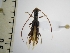  ( - IAvH-TRI-ALH-G946)  @11 [ ] Copyright (2022) Instituto de Investigaciones Alexander von Humboldt (IAvH) Instituto de Investigaciones Alexander von Humboldt (IAvH)