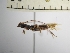  ( - IAvH-TRI-ALH-G946)  @11 [ ] Copyright (2022) Instituto de Investigaciones Alexander von Humboldt (IAvH) Instituto de Investigaciones Alexander von Humboldt (IAvH)