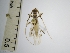  ( - IAvH-TRI-ALH-G947)  @11 [ ] Copyright (2022) Instituto de Investigaciones Alexander von Humboldt (IAvH) Instituto de Investigaciones Alexander von Humboldt (IAvH)