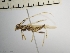  ( - IAvH-TRI-ALH-G947)  @11 [ ] Copyright (2022) Instituto de Investigaciones Alexander von Humboldt (IAvH) Instituto de Investigaciones Alexander von Humboldt (IAvH)