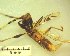  ( - IAvH-TRI-MAL213-COL-0203.3)  @11 [ ] Copyright (2023) Instituto de Investigacion Alexander von Humboldt (IAvH) Instituto de Investigacion Alexander von Humboldt (IAvH)