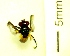  ( - IAvH-TRI-MAL222-DIP-0119.4)  @11 [ ] Copyright (2023) Instituto de Investigacion Alexander von Humboldt (IAvH) Instituto de Investigacion Alexander von Humboldt (IAvH)