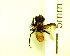  ( - IAvH-TRI-MAL222-DIP-0119.4)  @11 [ ] Copyright (2023) Instituto de Investigacion Alexander von Humboldt (IAvH) Instituto de Investigacion Alexander von Humboldt (IAvH)
