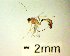  ( - IAvH-TRI-MAL224-HYM-0100.5)  @11 [ ] Copyright (2023) Instituto de Investigacion Alexander von Humboldt (IAvH) Instituto de Investigacion Alexander von Humboldt (IAvH)