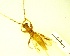  ( - IAvH-TRI-MAL228-COL-0385.2)  @11 [ ] Unspecified (default): All Rights Reserved  Unspecified Unspecified