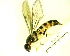  ( - IAvH-TRI-MAL233-DIP-0083.3)  @11 [ ] Copyright (2023) Instituto de Investigacion Alexander von Humboldt (IAvH) Instituto de Investigacion Alexander von Humboldt (IAvH)