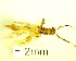  ( - IAvH-TRI-MAL248-COL-0215)  @11 [ ] Copyright (2071) Instituto de Investigacion Alexander von Humboldt (IAvH) Instituto de Investigacion Alexander von Humboldt (IAvH)