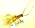 ( - IAvH-TRI-MAL248-COL-0215)  @11 [ ] Copyright (2073) Instituto de Investigacion Alexander von Humboldt (IAvH) Instituto de Investigacion Alexander von Humboldt (IAvH)