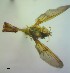  ( - IAvH-TRI-DIPG859)  @11 [ ] Copyright (c) (2022) Wilber Lopez Instituto de Investigaciones Alexander von Humboldt (IAvH)