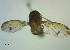  ( - IAvH-TRI-DIPG141)  @11 [ ] Copyright (c) (2022) Wilber Lopez Instituto de Investigaciones Alexander von Humboldt (IAvH)