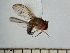  ( - IAvH-TRI-DIPG776)  @11 [ ] Copyright (c) (2022) Wilber Lopez Instituto de Investigaciones Alexander von Humboldt (IAvH)