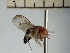  ( - IAvH-TRI-DIPG776)  @11 [ ] Copyright (c) (2022) Wilber Lopez Instituto de Investigaciones Alexander von Humboldt (IAvH)