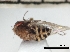  ( - IAvH-TRI-DIPG820)  @11 [ ] Copyright (c) (2022) Wilber Lopez Instituto de Investigaciones Alexander von Humboldt (IAvH)