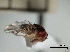  ( - IAvH-TRI-DIPG820)  @11 [ ] Copyright (c) (2022) Wilber Lopez Instituto de Investigaciones Alexander von Humboldt (IAvH)