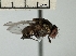  ( - IAvH-TRI-DIPG834)  @11 [ ] Copyright (c) (2022) Wilber Lopez Instituto de Investigaciones Alexander von Humboldt (IAvH)