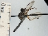  ( - IAvH-TRI-DIPG839)  @11 [ ] Copyright (c) (2022) Wilber Lopez Instituto de Investigaciones Alexander von Humboldt (IAvH)