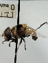  ( - IAvH-TRI-DIPG847)  @11 [ ] Copyright (c) (2022) Wilber Lopez Instituto de Investigaciones Alexander von Humboldt (IAvH)