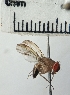  ( - IAvH-TRI-DIPG966)  @11 [ ] Copyright (c) (2022) Wilber Lopez Instituto de Investigaciones Alexander von Humboldt (IAvH)