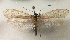  ( - JSLK-AZER-T030)  @11 [ ] CreativeCommons - Attribution Non-Commercial (2018) Juha Salokannel University of Oulu