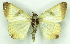  ( - MJC_731)  @11 [ ] CC-BY-NC (2024) Matthew J.W. Cock Unspecified