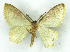  ( - MJC_754)  @11 [ ] CC-BY-NC (2024) Matthew J.W. Cock Unspecified