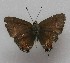  ( - MJC_825)  @11 [ ] CC-BY-NC (2024) John Morrall Unspecified