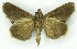  ( - MJC_672)  @11 [ ] Unspecified (default): All Rights Reserved  Unspecified Unspecified