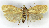 ( - MJC_693)  @11 [ ] Unspecified (default): All Rights Reserved  Unspecified Unspecified