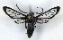  ( - MJC_703)  @11 [ ] Unspecified (default): All Rights Reserved  Unspecified Unspecified