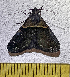  ( - MJC_SMT003)  @11 [ ] CC-BY-NC (2023) S.M. Tran Unspecified