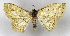  ( - MC_369)  @11 [ ] CC-BY-NC (2021) M.J.W. Cock Unspecified