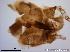 ( - TPI:ENT:#0000159)  @12 [ ] Copyright (2014) Lara E. Harrup The Pirbright Institute, Ash Road, Pirbright, Woking, Surrey, GU240NF, UK