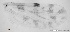  ( - TPI:ENT:#0000159)  @12 [ ] Copyright (2014) Lara E. Harrup The Pirbright Institute, Ash Road, Pirbright, Woking, Surrey, GU240NF, UK