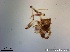  ( - TPI:ENT:#0000161)  @12 [ ] Copyright (2014) Lara E. Harrup The Pirbright Institute, Ash Road, Pirbright, Woking, Surrey, GU240NF, UK