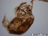  ( - TPI:ENT:#0000161)  @12 [ ] Copyright (2014) Lara E. Harrup The Pirbright Institute, Ash Road, Pirbright, Woking, Surrey, GU240NF, UK