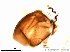  ( - TPI:ENT:#0000162)  @12 [ ] Copyright (2014) Lara E. Harrup The Pirbright Institute, Ash Road, Pirbright, Woking, Surrey, GU240NF, UK