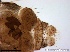  ( - TPI:ENT:#0000162)  @12 [ ] Copyright (2014) Lara E. Harrup The Pirbright Institute, Ash Road, Pirbright, Woking, Surrey, GU240NF, UK