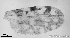  ( - TPI:ENT:#0000162)  @12 [ ] Copyright (2014) Lara E. Harrup The Pirbright Institute, Ash Road, Pirbright, Woking, Surrey, GU240NF, UK