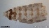  ( - TPI:ENT:#0000164)  @12 [ ] Copyright (2014) Lara E. Harrup The Pirbright Institute, Ash Road, Pirbright, Woking, Surrey, GU240NF, UK