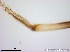  ( - TPI:ENT:#0000164)  @12 [ ] Copyright (2014) Lara E. Harrup The Pirbright Institute, Ash Road, Pirbright, Woking, Surrey, GU240NF, UK