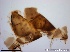  ( - TPI:ENT:#0000164)  @12 [ ] Copyright (2014) Lara E. Harrup The Pirbright Institute, Ash Road, Pirbright, Woking, Surrey, GU240NF, UK