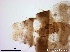  ( - TPI:ENT:#0000164)  @12 [ ] Copyright (2014) Lara E. Harrup The Pirbright Institute, Ash Road, Pirbright, Woking, Surrey, GU240NF, UK