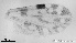  ( - TPI:ENT:#0000164)  @12 [ ] Copyright (2014) Lara E. Harrup The Pirbright Institute, Ash Road, Pirbright, Woking, Surrey, GU240NF, UK