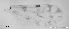  ( - TPI:ENT:#0000165)  @12 [ ] Copyright (2014) Lara E. Harrup The Pirbright Institute, Ash Road, Pirbright, Woking, Surrey, GU240NF, UK