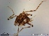 ( - TPI:ENT:#0000166)  @12 [ ] Copyright (2014) Lara E. Harrup The Pirbright Institute, Ash Road, Pirbright, Woking, Surrey, GU240NF, UK