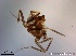  ( - TPI:ENT:#0000187)  @12 [ ] Copyright (2014) Lara E. Harrup The Pirbright Institute, Ash Road, Pirbright, Woking, Surrey, GU240NF, UK